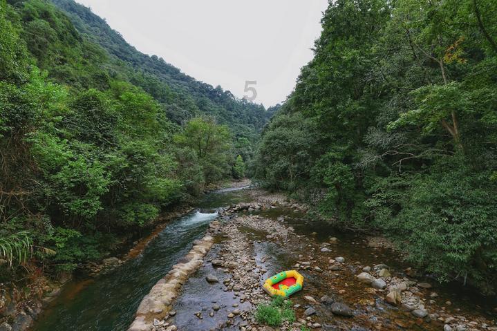 解答无忧,尽在灯笼袖衬衫搭配黑色短裤,沉静又时髦,你有没有学会?问答平台