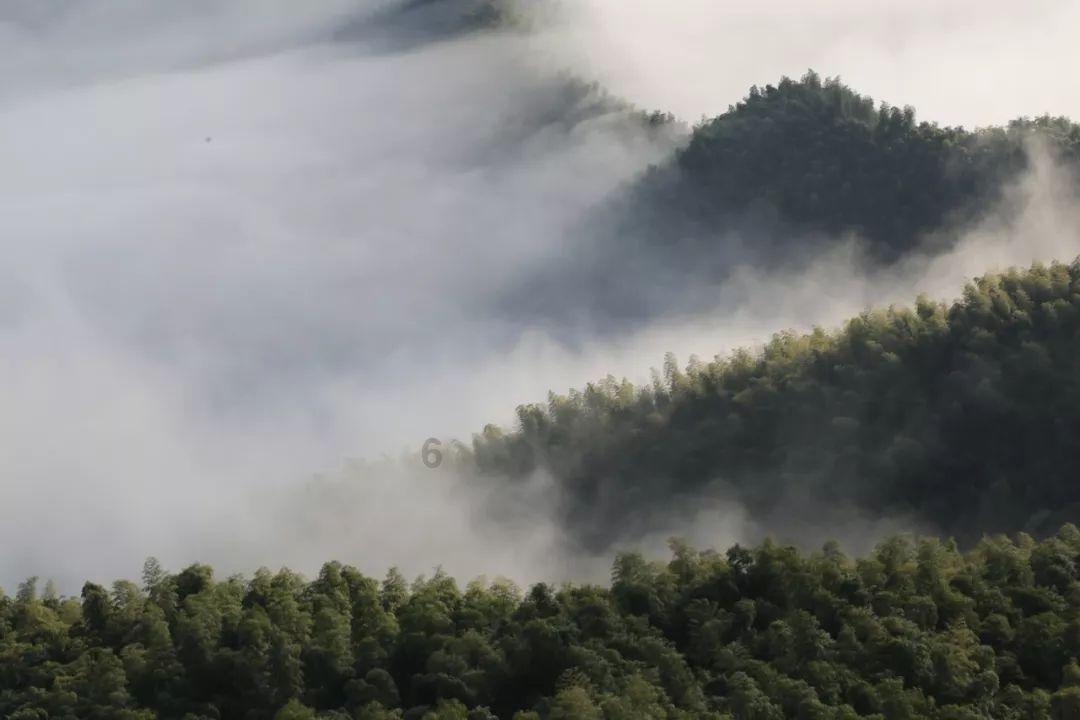 怎样能暂时戒掉《海贼王》，然后一口气看完一年的量？游戏画面